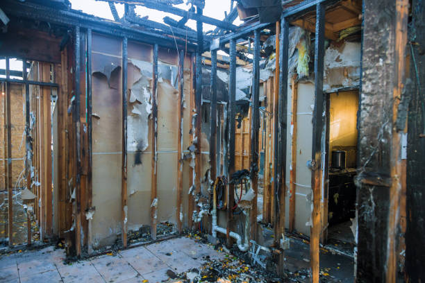 Professional Fire Damage Removal technician working in Delevan, NY